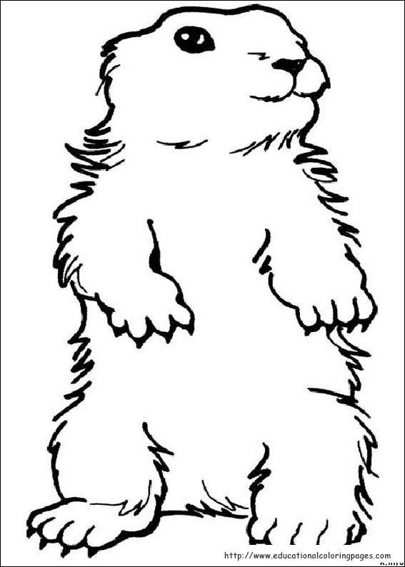 160 Groundhog Day Coloring Pages: Free Printables for a Fun Day 136