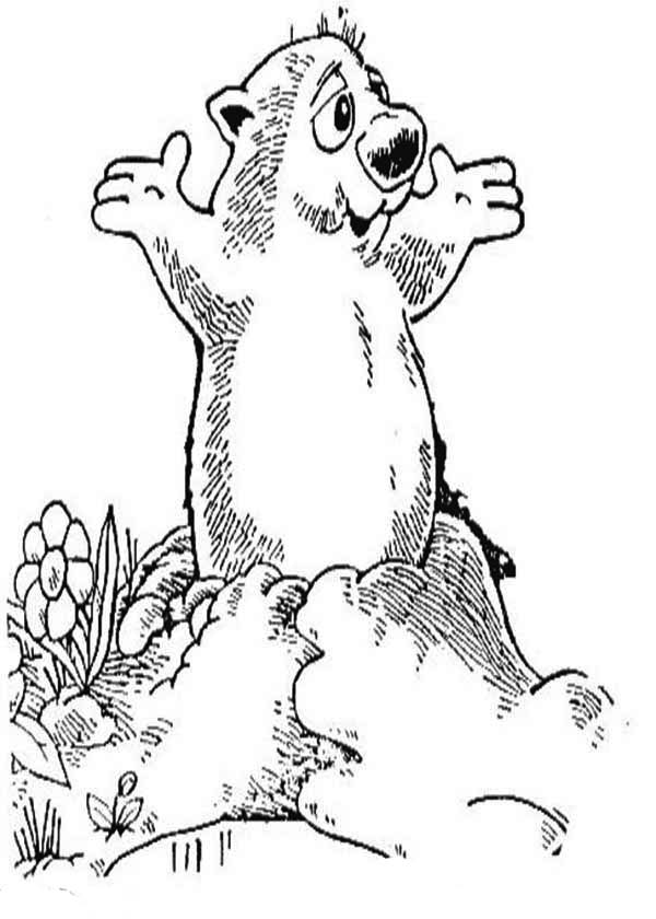 160 Groundhog Day Coloring Pages: Free Printables for a Fun Day 58