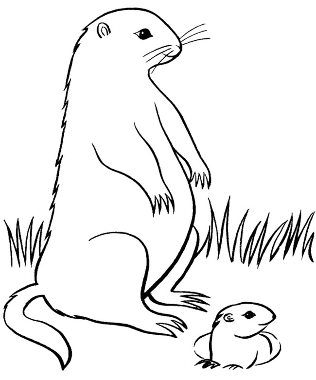 160 Groundhog Day Coloring Pages: Free Printables for a Fun Day 71