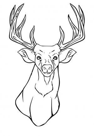 200+ Deer Coloring Pages for Adults: Explore Your Creativity 107