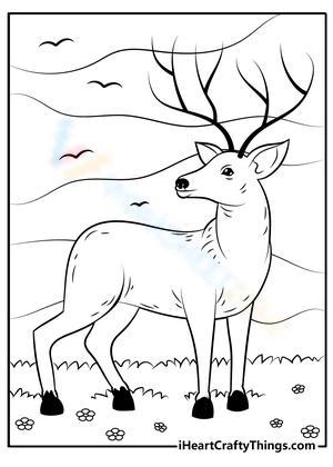 200+ Deer Coloring Pages for Adults: Explore Your Creativity 11