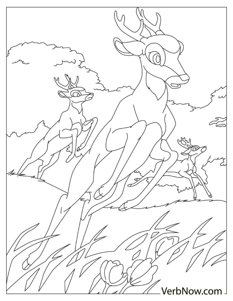 200+ Deer Coloring Pages for Adults: Explore Your Creativity 116