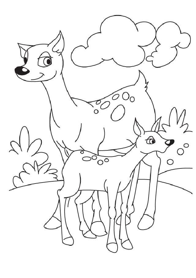 200+ Deer Coloring Pages for Adults: Explore Your Creativity 117