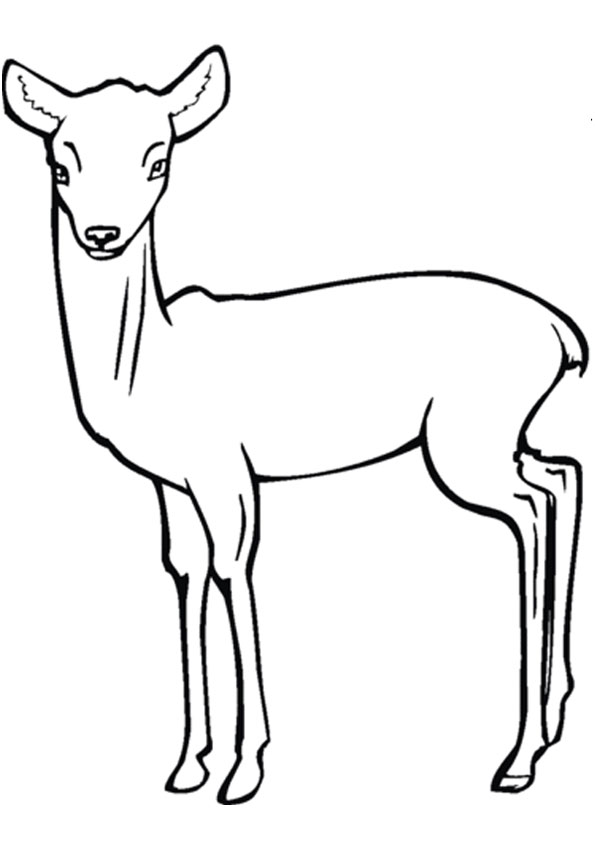 200+ Deer Coloring Pages for Adults: Explore Your Creativity 120