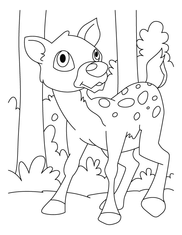 200+ Deer Coloring Pages for Adults: Explore Your Creativity 125