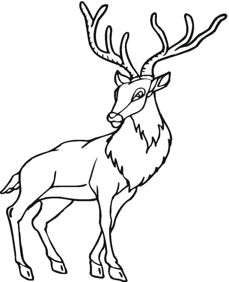 200+ Deer Coloring Pages for Adults: Explore Your Creativity 129