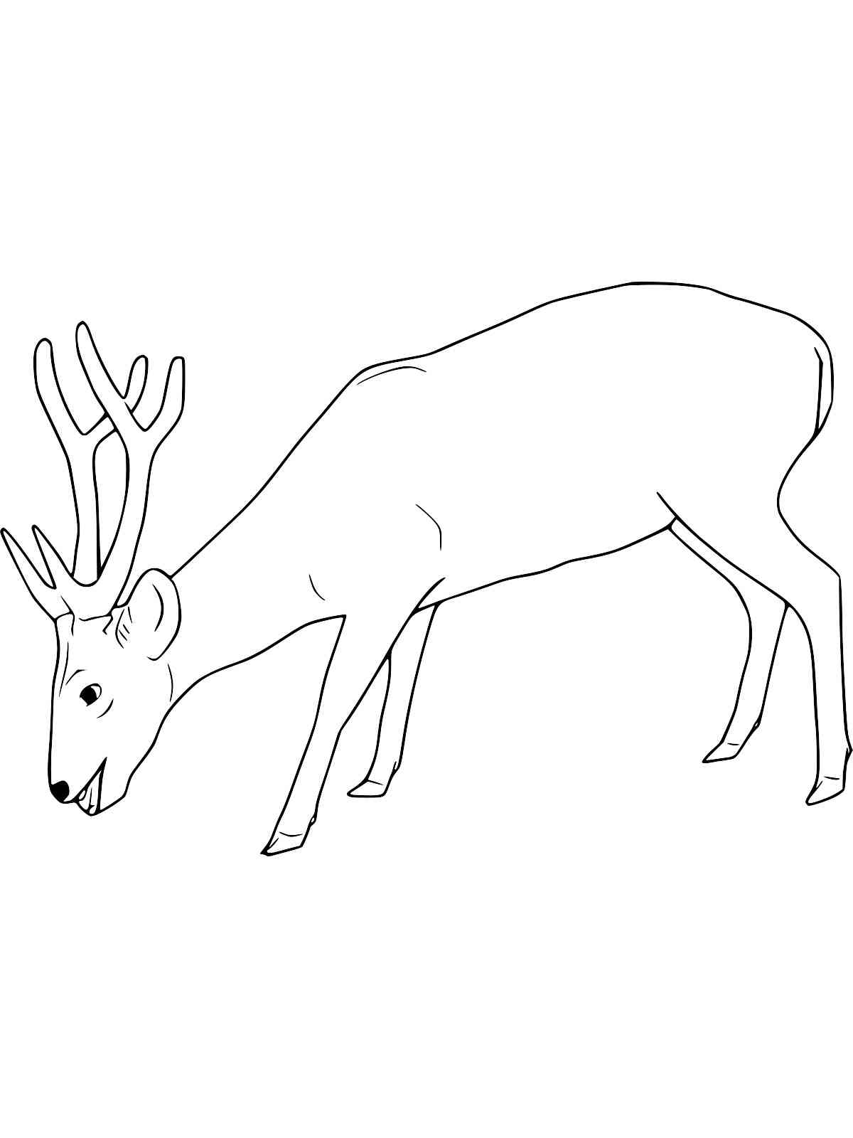 200+ Deer Coloring Pages for Adults: Explore Your Creativity 136