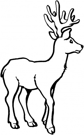 200+ Deer Coloring Pages for Adults: Explore Your Creativity 144