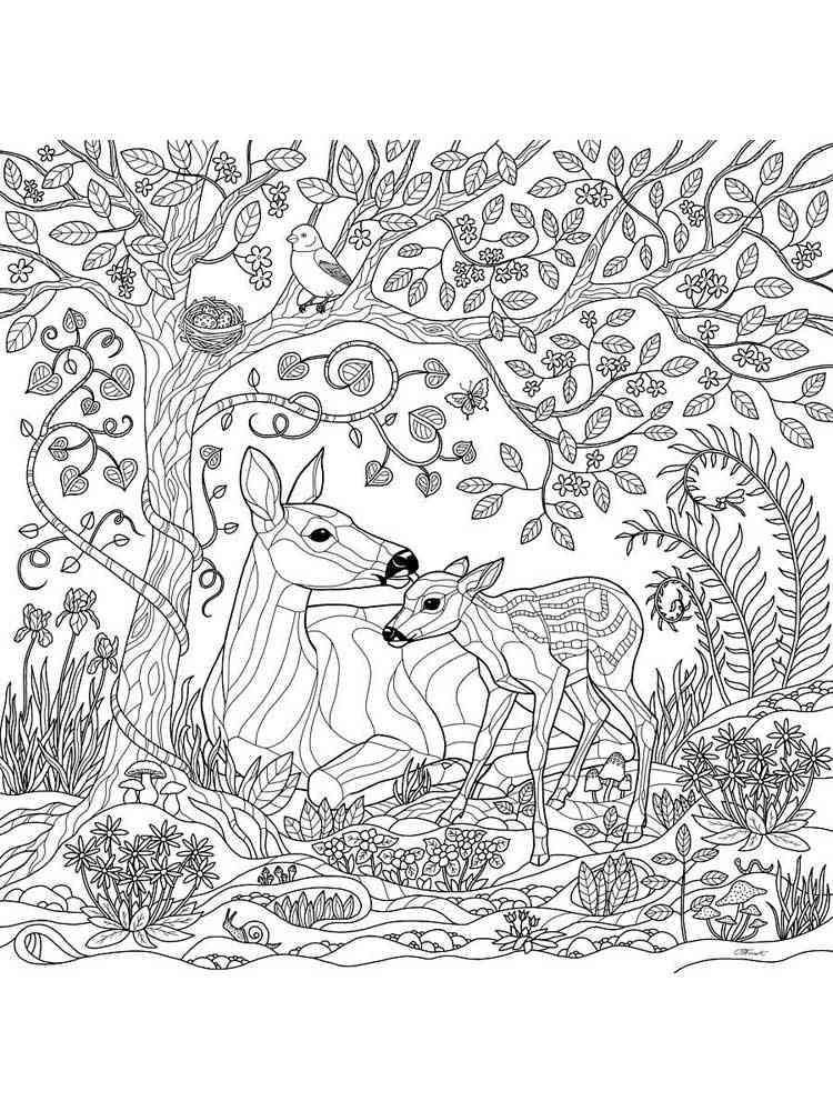 200+ Deer Coloring Pages for Adults: Explore Your Creativity 162