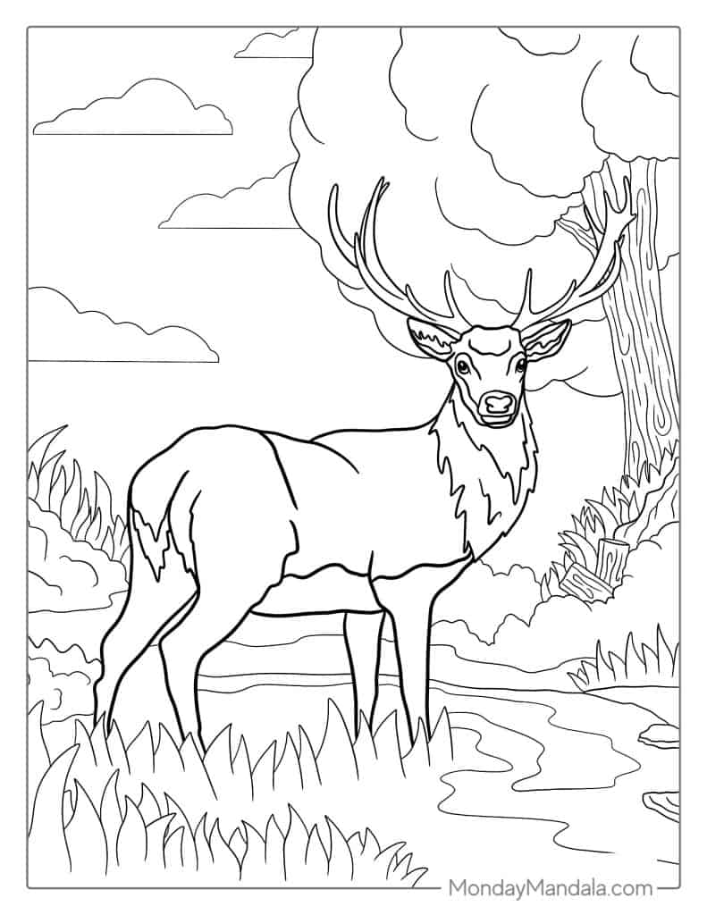 200+ Deer Coloring Pages for Adults: Explore Your Creativity 172