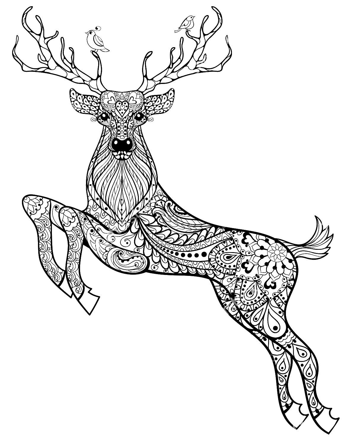 200+ Deer Coloring Pages for Adults: Explore Your Creativity 175