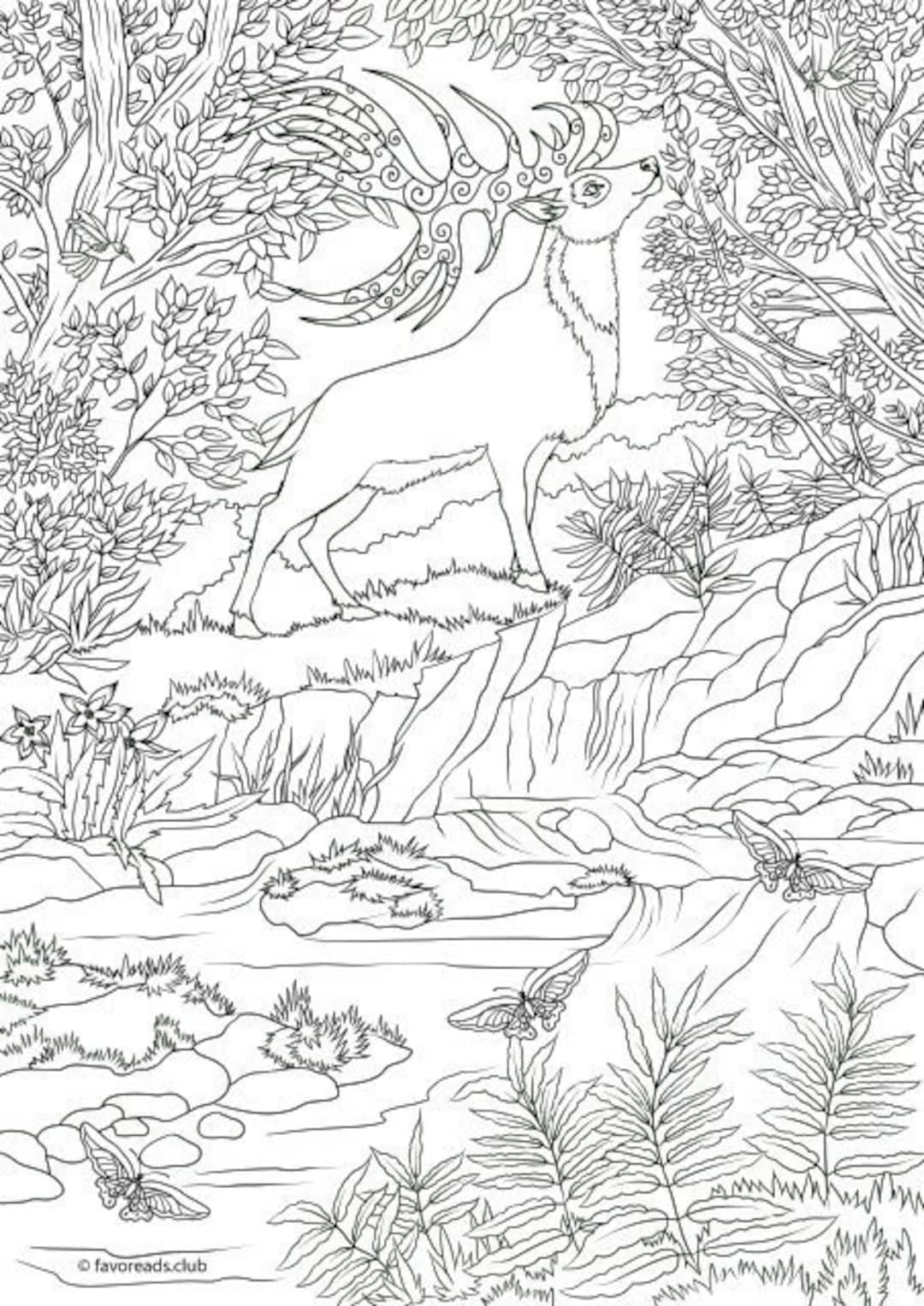 200+ Deer Coloring Pages for Adults: Explore Your Creativity 18