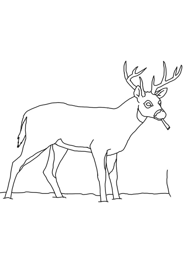 200+ Deer Coloring Pages for Adults: Explore Your Creativity 187