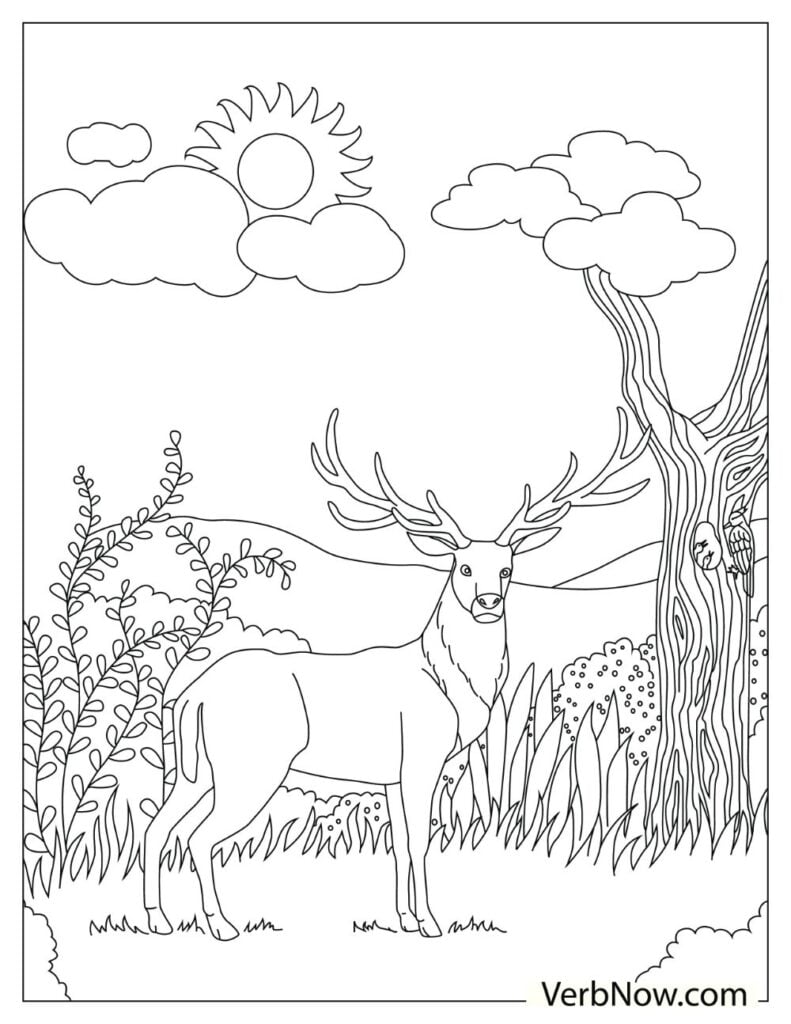 200+ Deer Coloring Pages for Adults: Explore Your Creativity 25