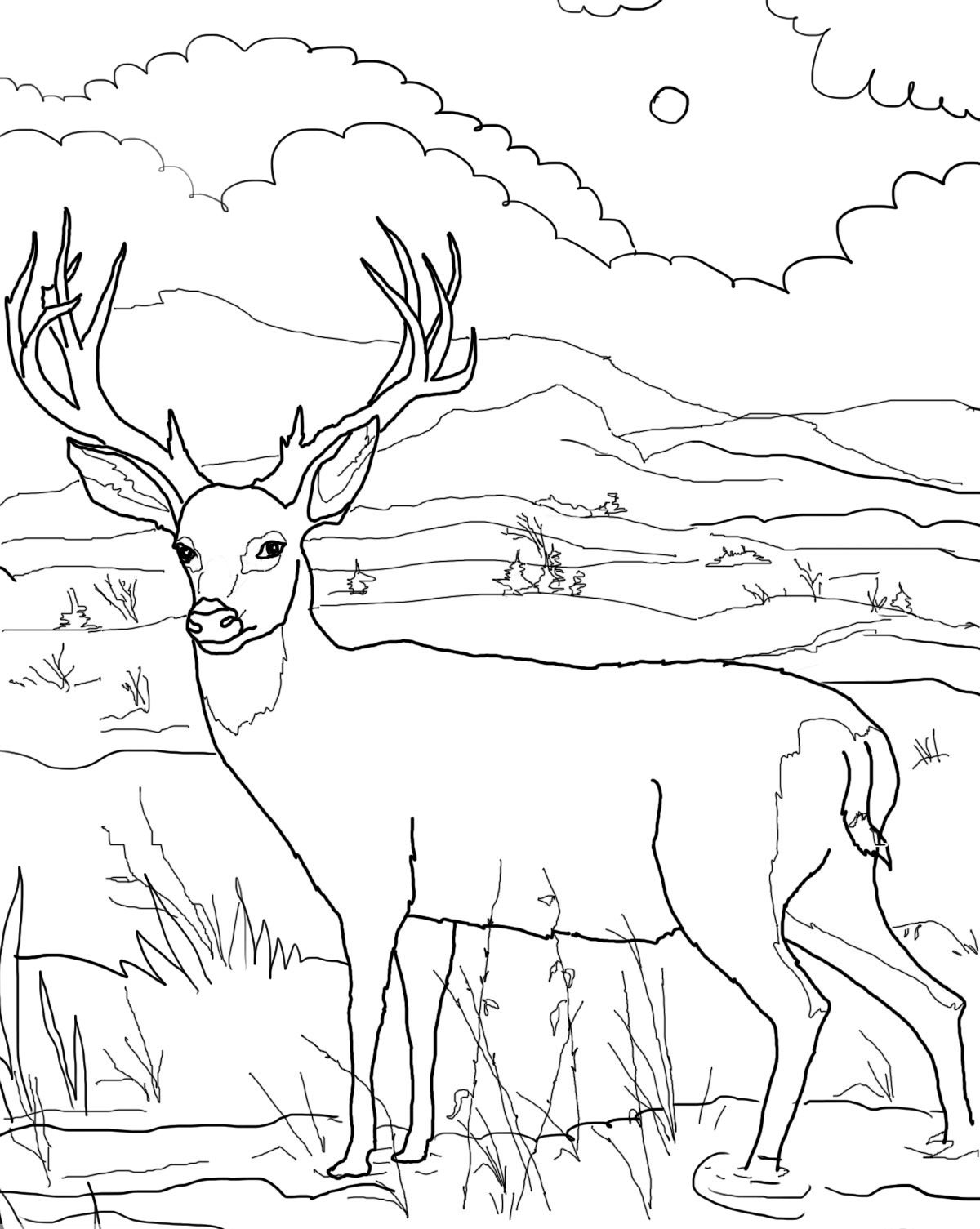 200+ Deer Coloring Pages for Adults: Explore Your Creativity 30