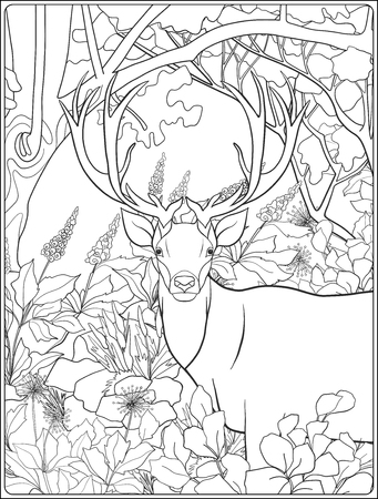 200+ Deer Coloring Pages for Adults: Explore Your Creativity 33