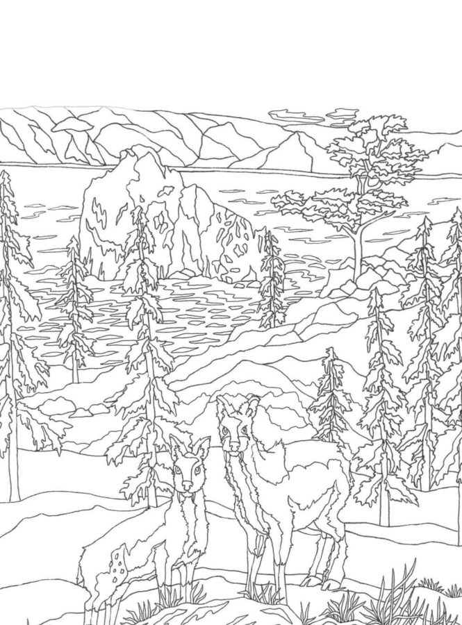 200+ Deer Coloring Pages for Adults: Explore Your Creativity 55