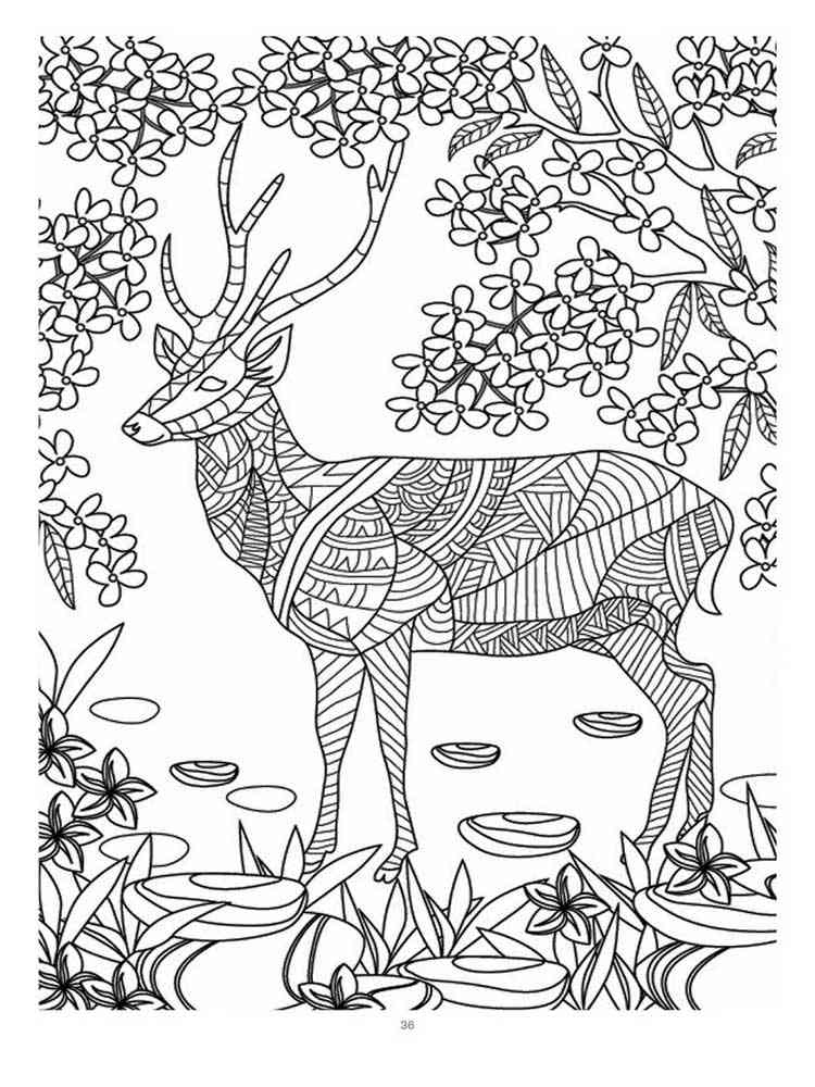 200+ Deer Coloring Pages for Adults: Explore Your Creativity 59