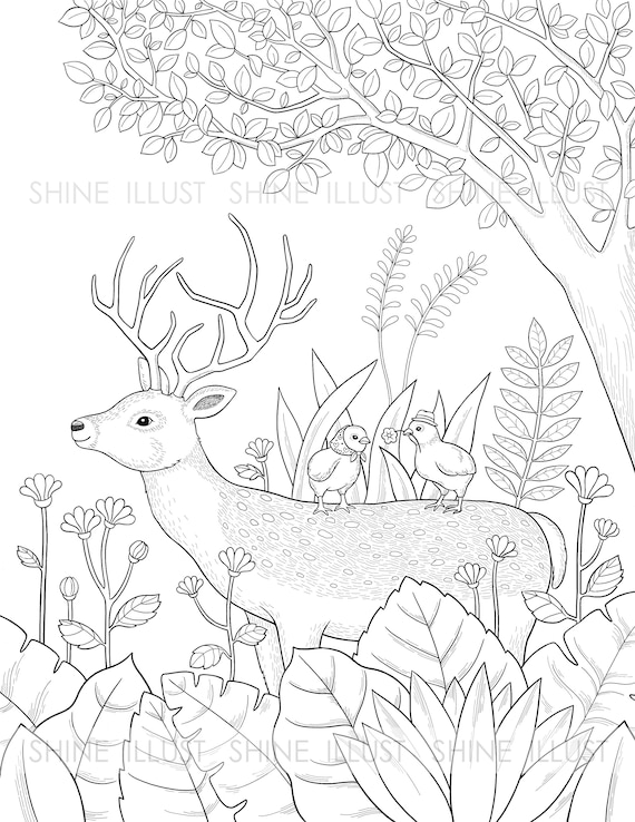 200+ Deer Coloring Pages for Adults: Explore Your Creativity 61