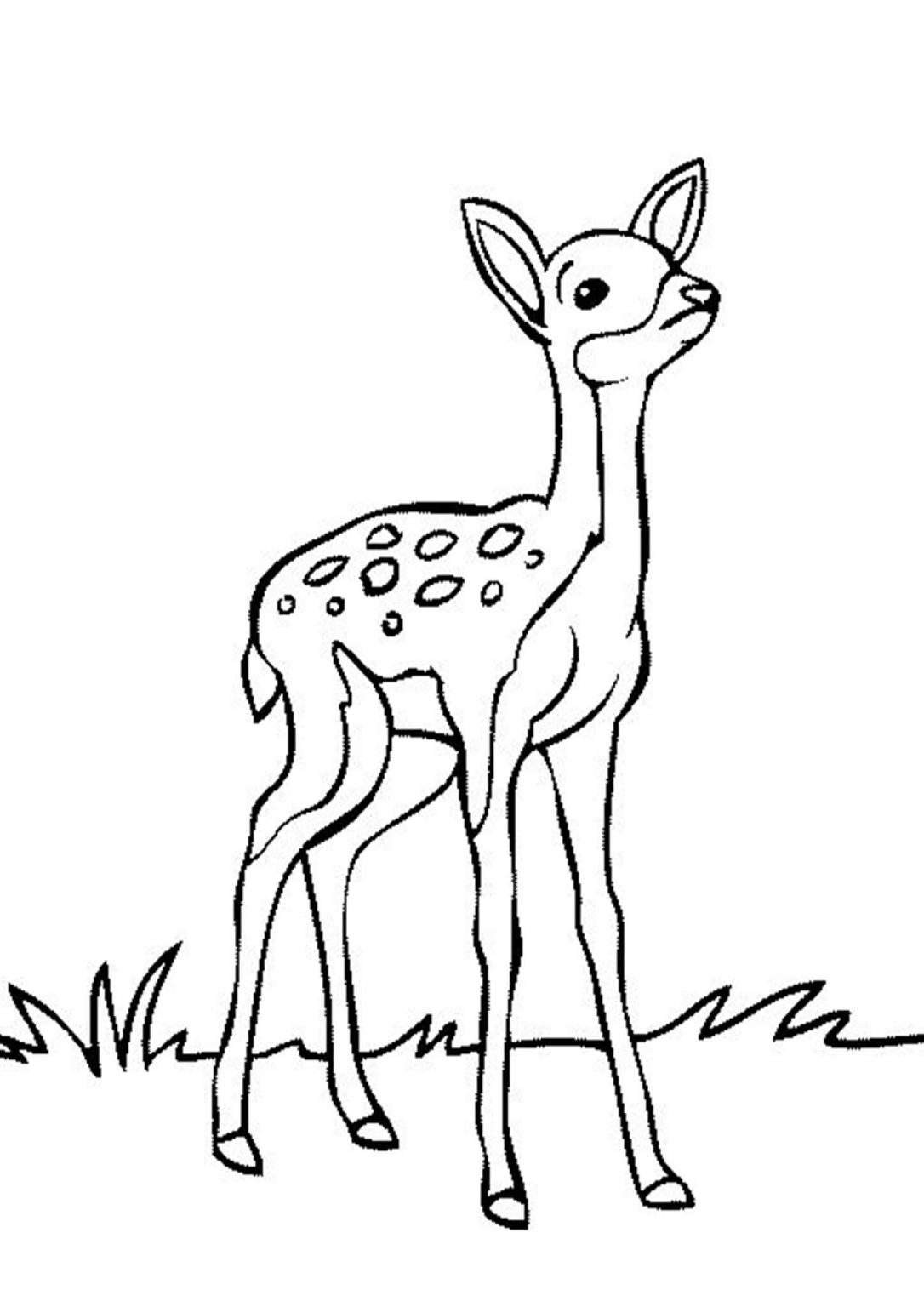 200+ Deer Coloring Pages for Adults: Explore Your Creativity 73