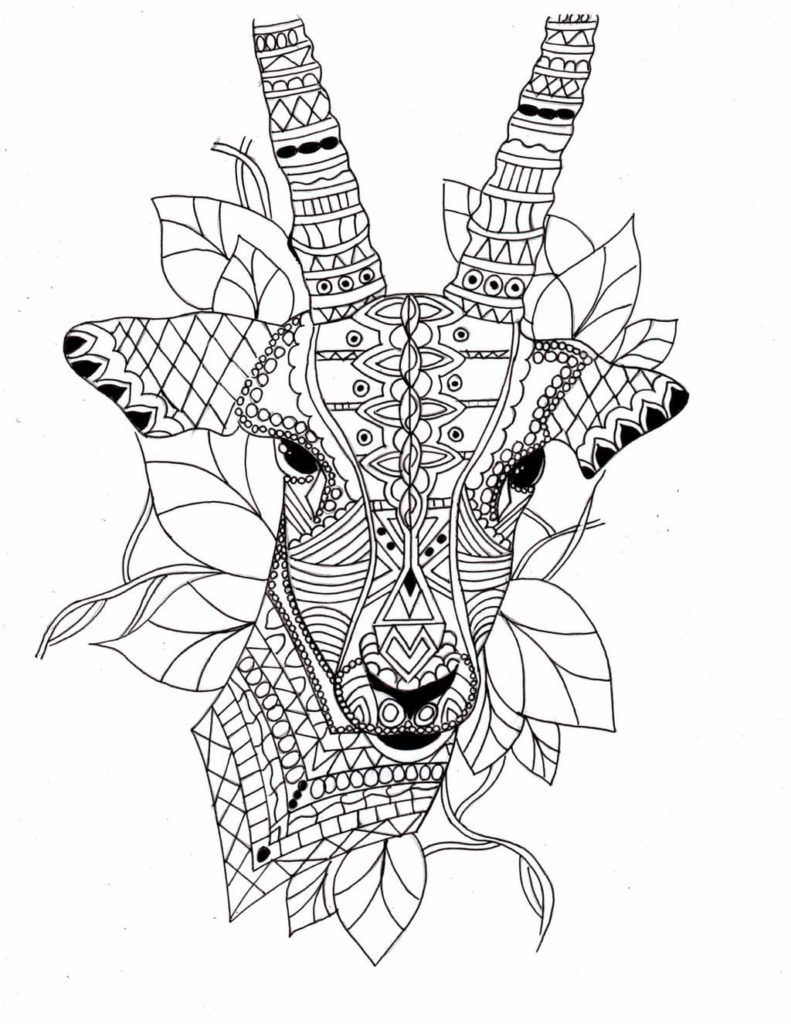 200+ Deer Coloring Pages for Adults: Explore Your Creativity 75