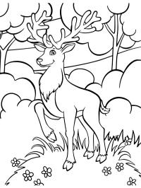 200+ Deer Coloring Pages for Adults: Explore Your Creativity 80