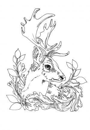 200+ Deer Coloring Pages for Adults: Explore Your Creativity 81