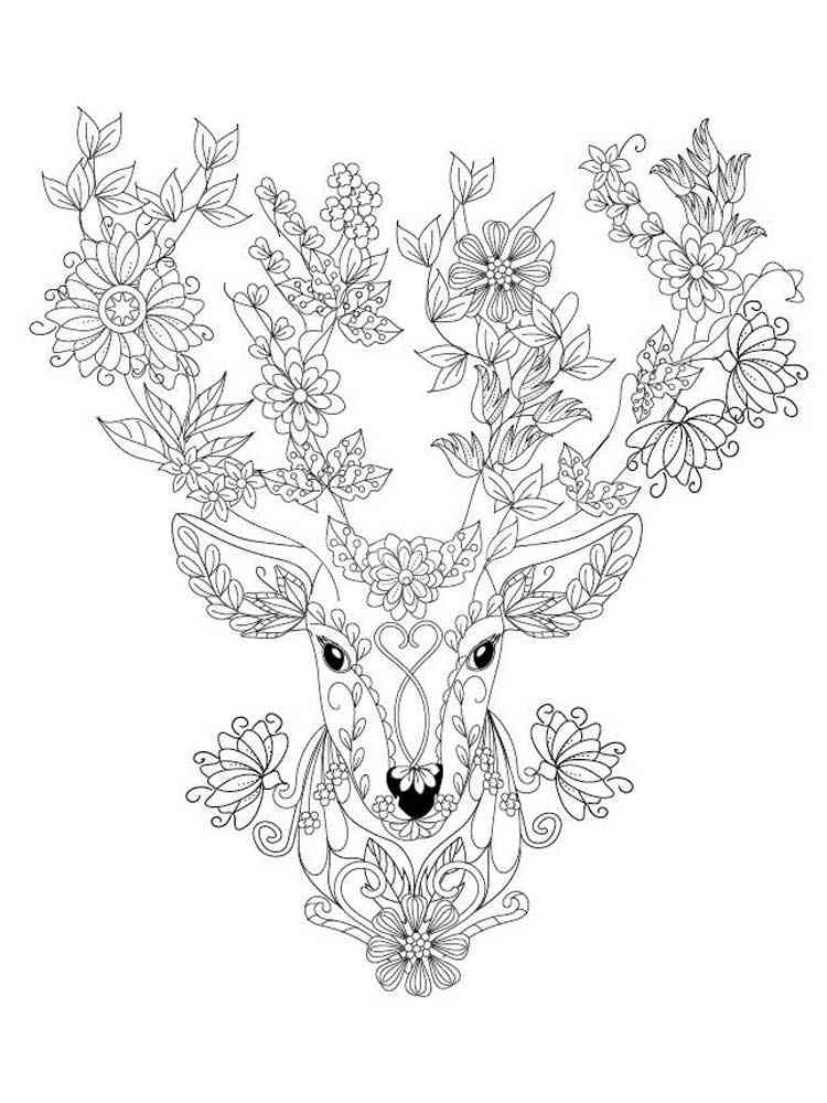 200+ Deer Coloring Pages for Adults: Explore Your Creativity 9