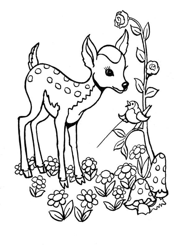 200+ Deer Coloring Pages for Adults: Explore Your Creativity 97