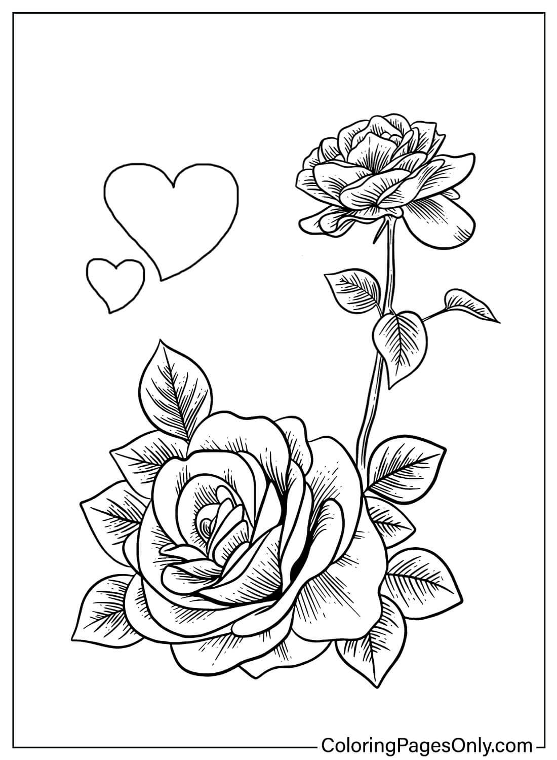 45 Roses Coloring Pages for Adult Free Printable 110