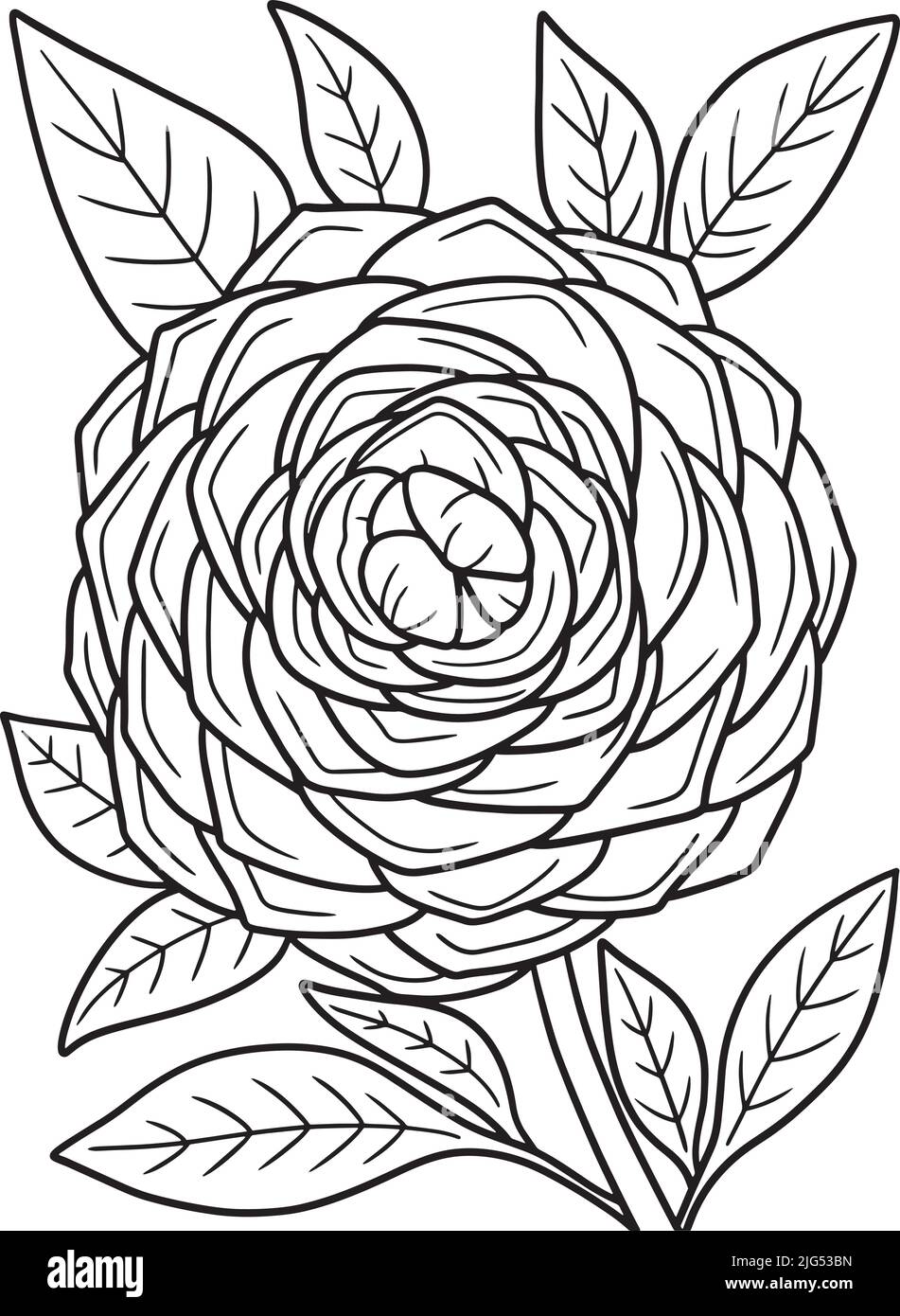 45 Roses Coloring Pages for Adult Free Printable 113