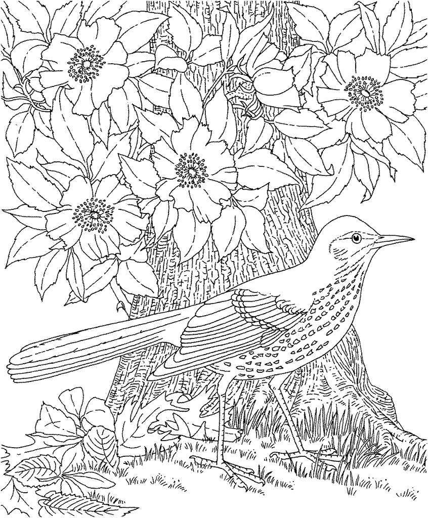 45 Roses Coloring Pages for Adult Free Printable 115