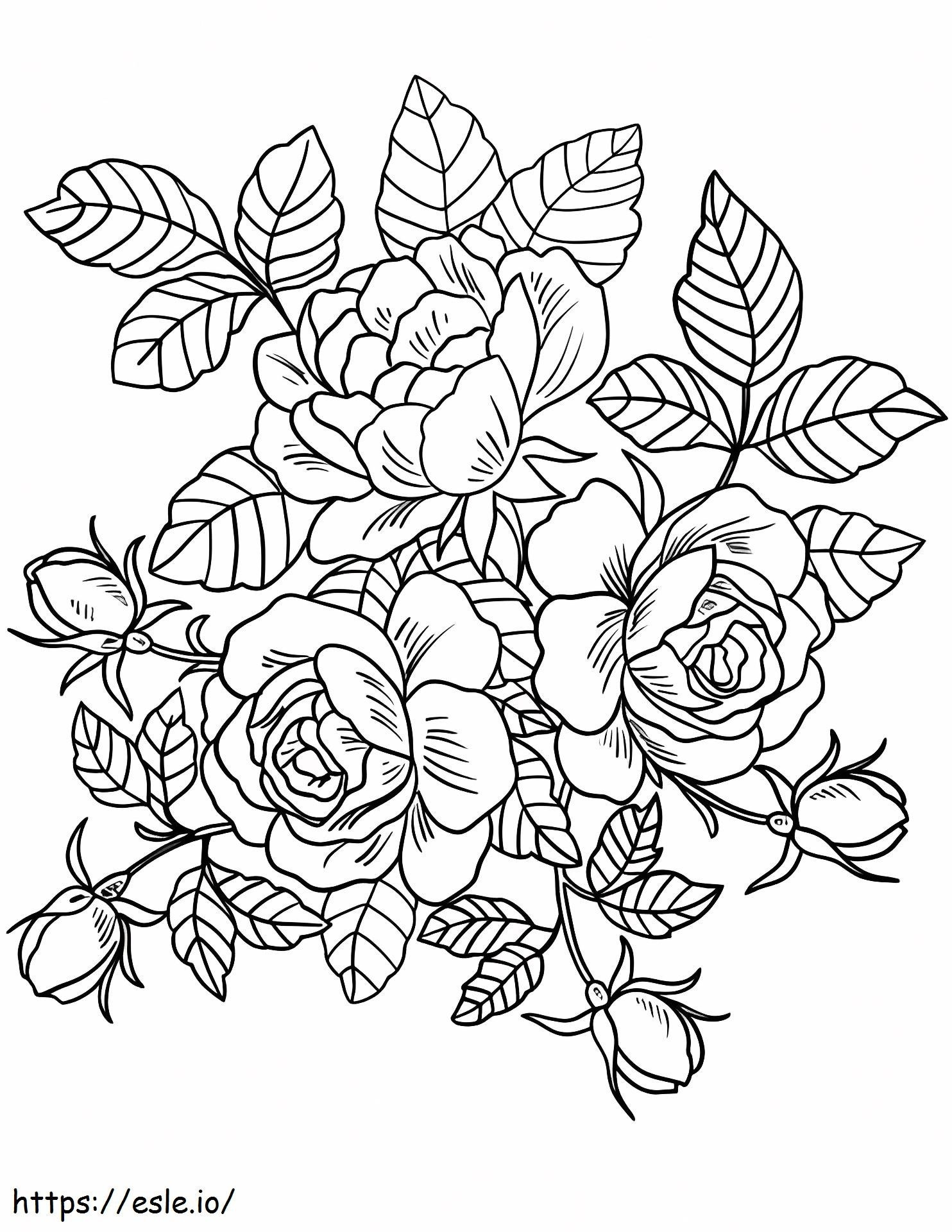 45 Roses Coloring Pages for Adult Free Printable 122