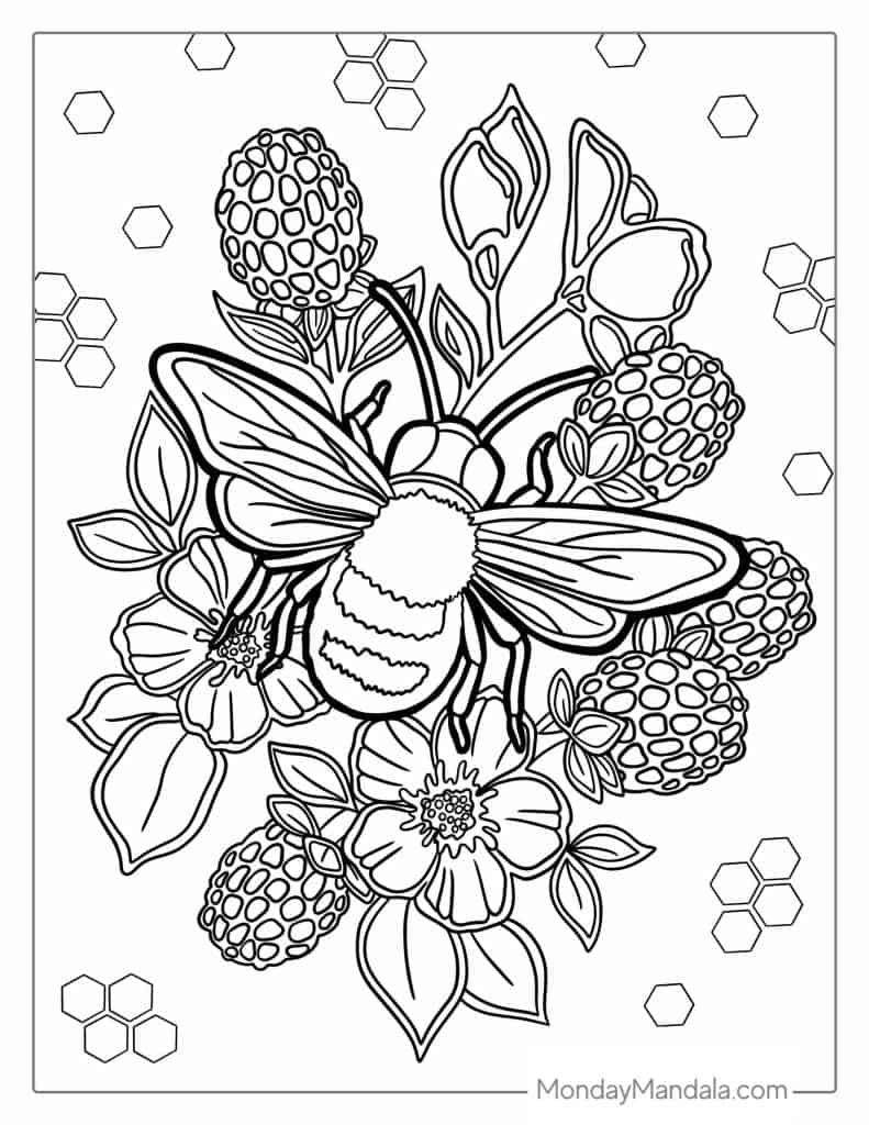 45 Roses Coloring Pages for Adult Free Printable 126