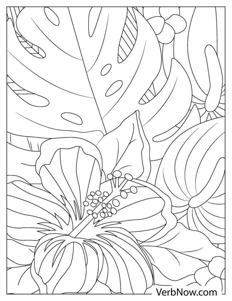 45 Roses Coloring Pages for Adult Free Printable 133