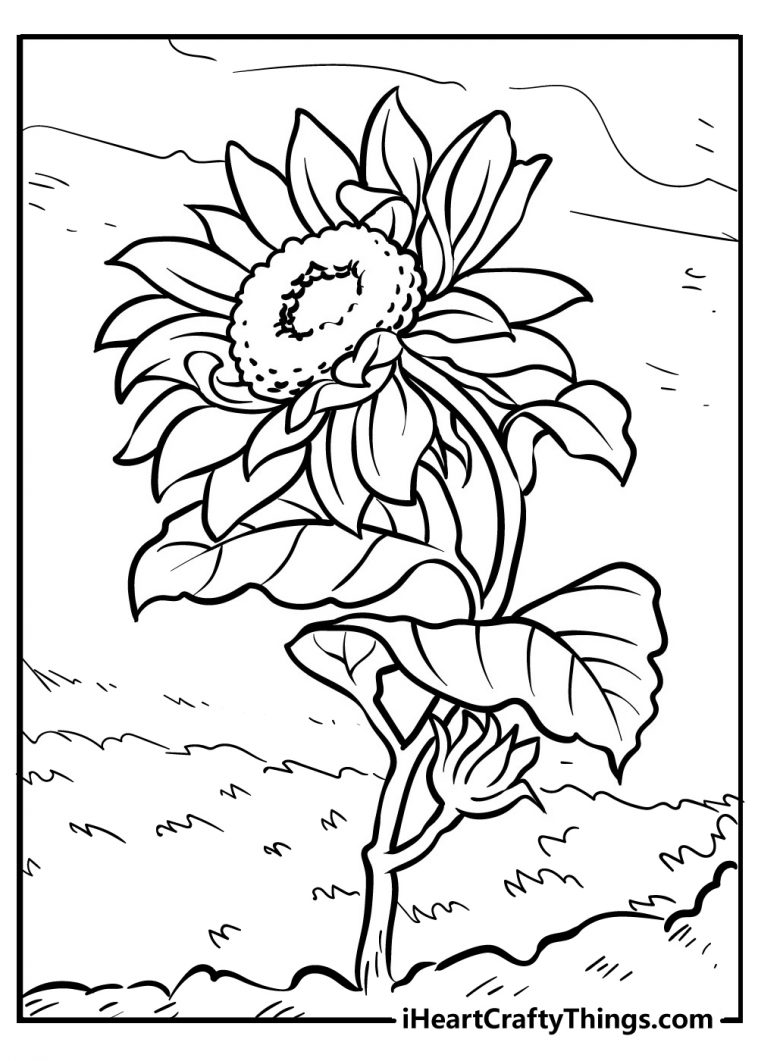 45 Roses Coloring Pages for Adult Free Printable 135