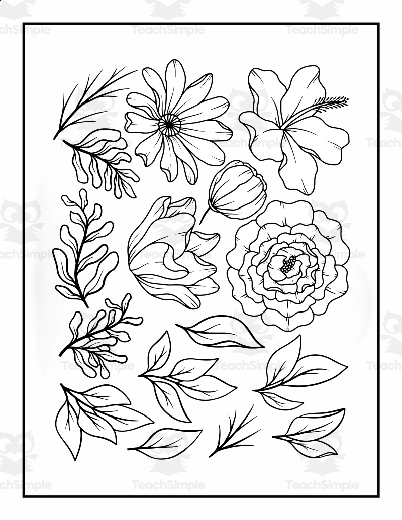 45 Roses Coloring Pages for Adult Free Printable 14