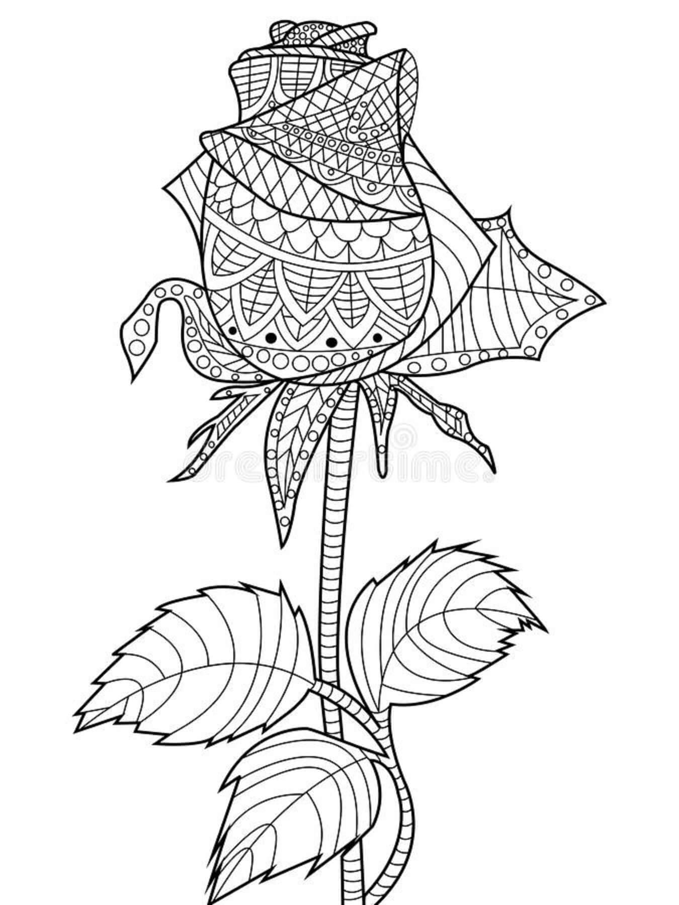 45 Roses Coloring Pages for Adult Free Printable 142