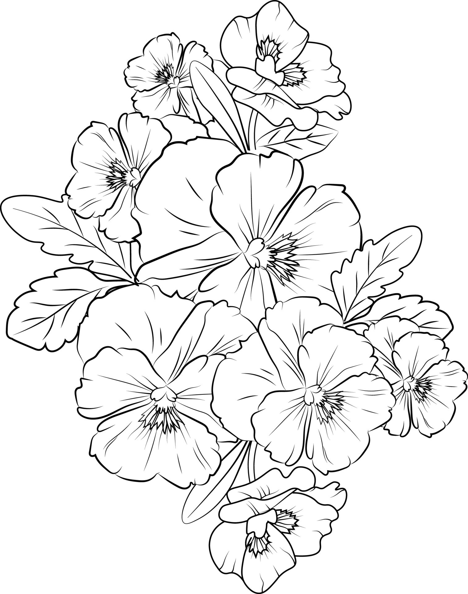 45 Roses Coloring Pages for Adult Free Printable 143