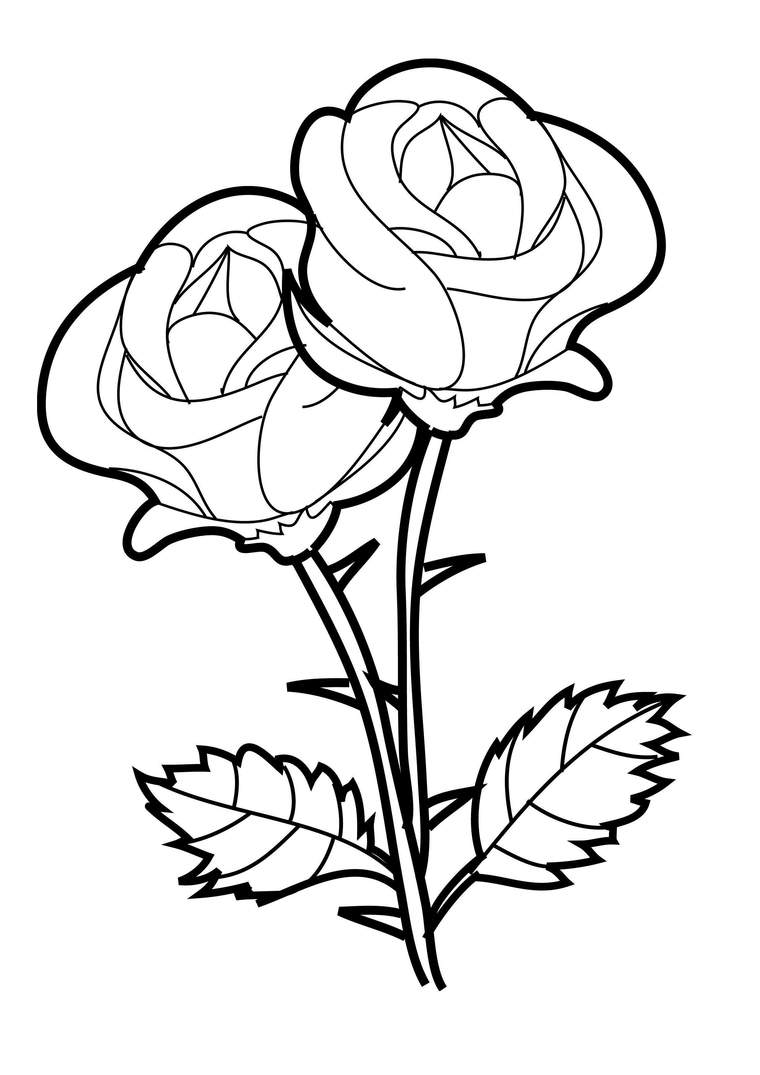 45 Roses Coloring Pages for Adult Free Printable 169