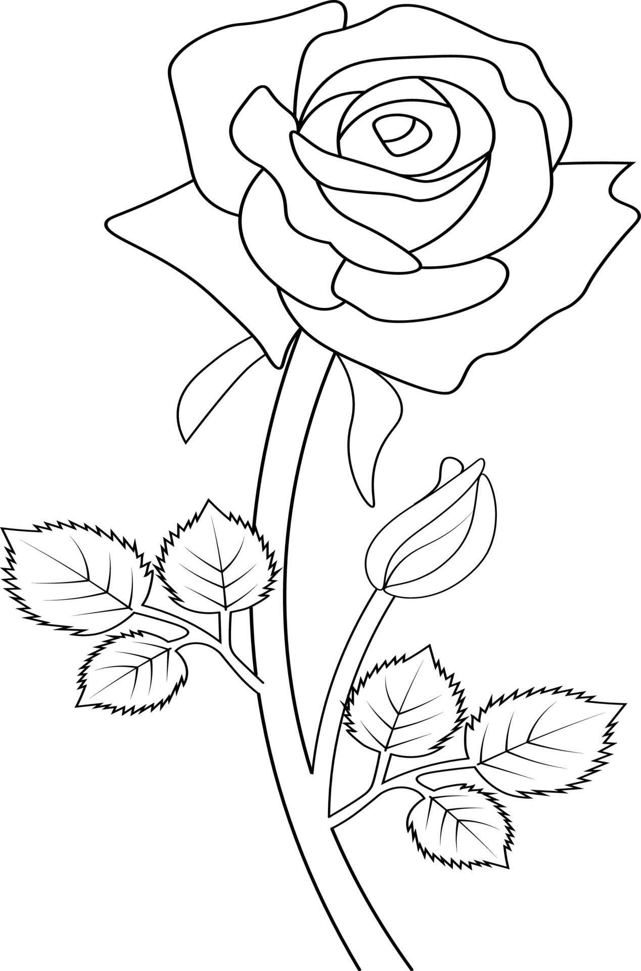 45 Roses Coloring Pages for Adult Free Printable 17