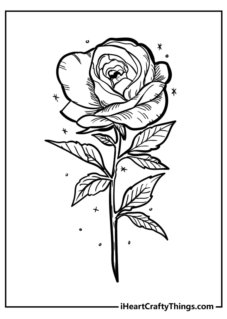 45 Roses Coloring Pages for Adult Free Printable 170