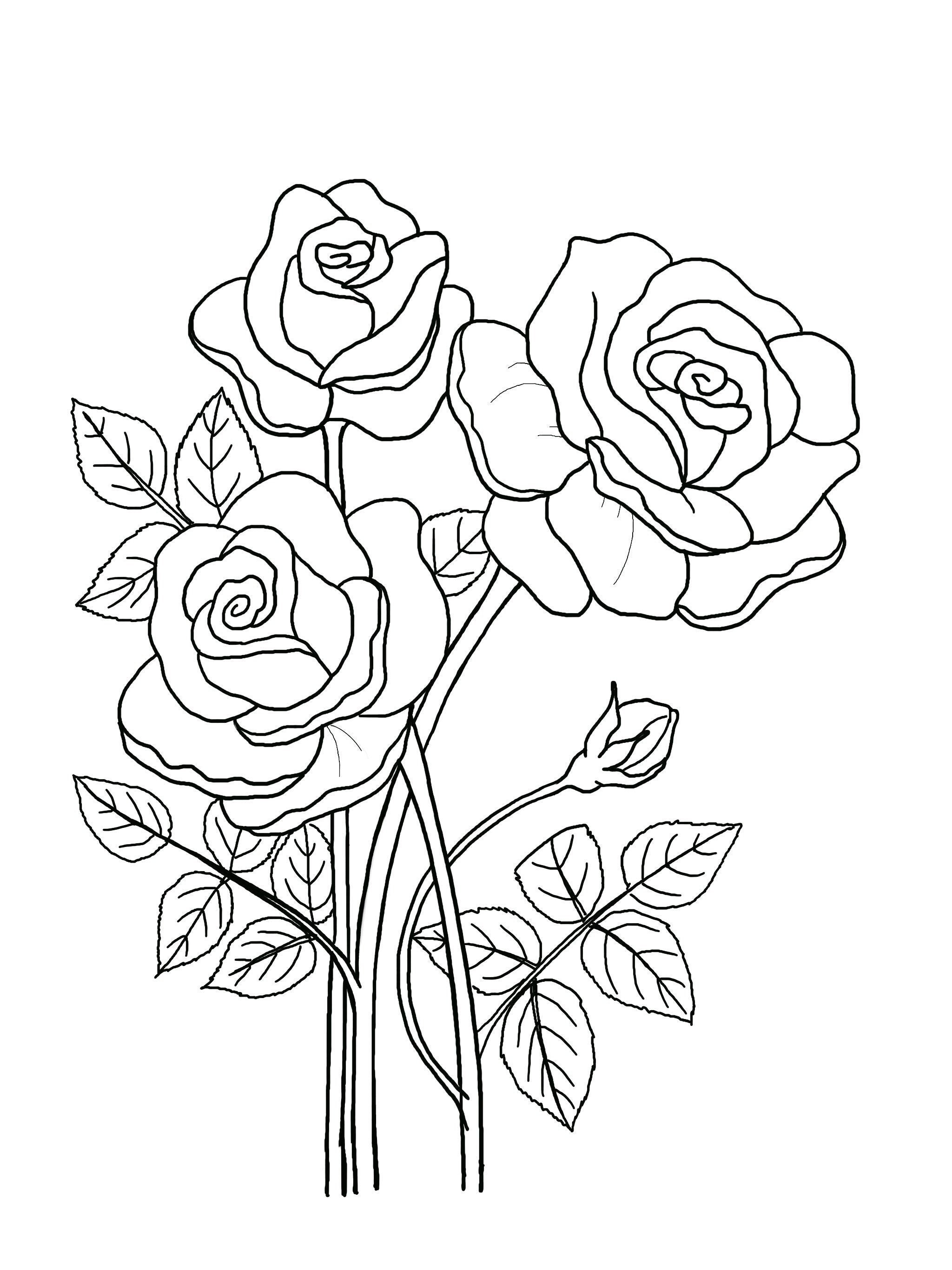 45 Roses Coloring Pages for Adult Free Printable 172