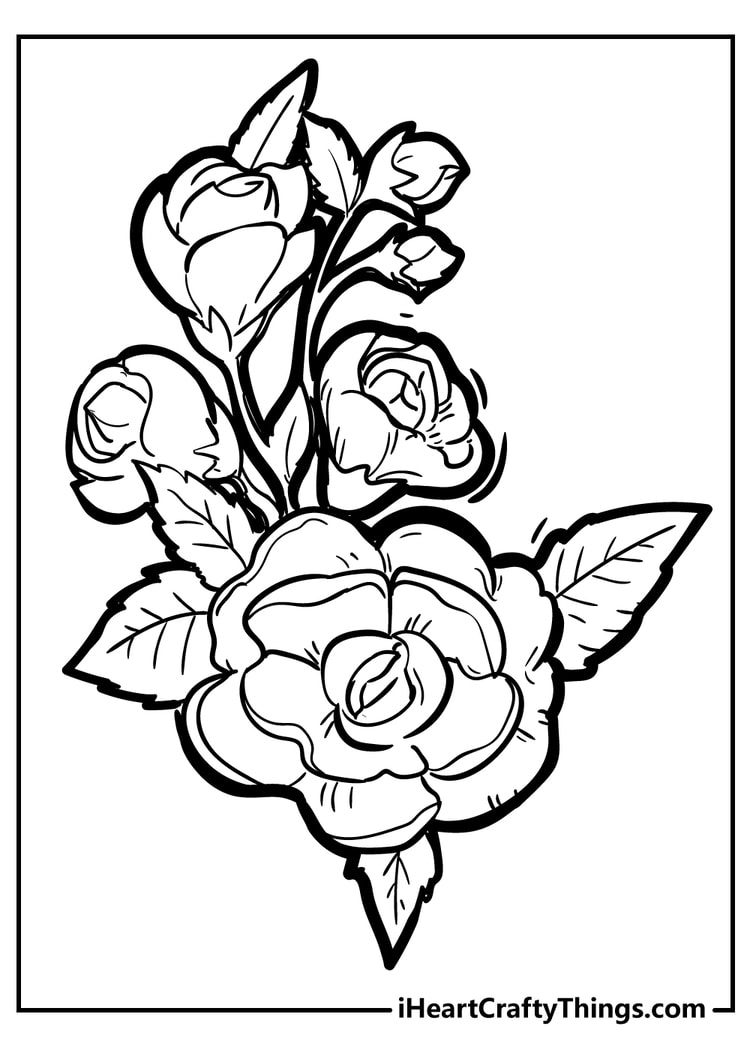 45 Roses Coloring Pages for Adult Free Printable 175