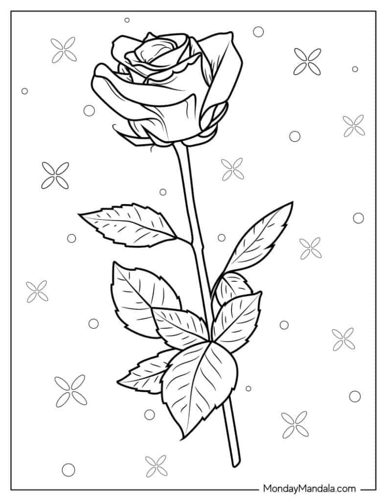 45 Roses Coloring Pages for Adult Free Printable 183