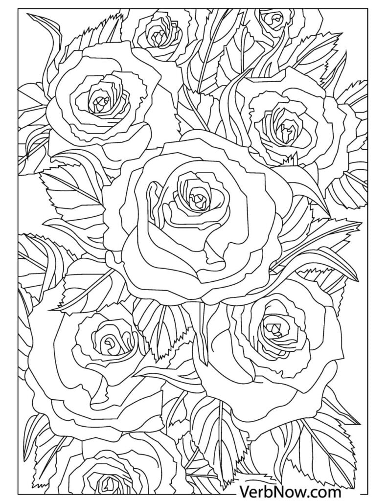 45 Roses Coloring Pages for Adult Free Printable 192