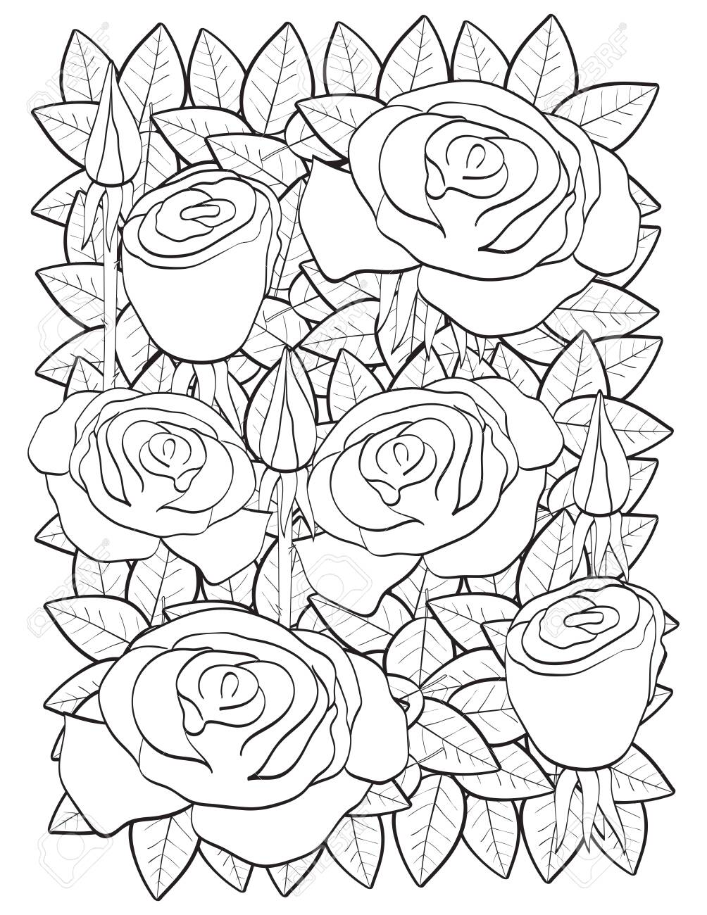 45 Roses Coloring Pages for Adult Free Printable 195