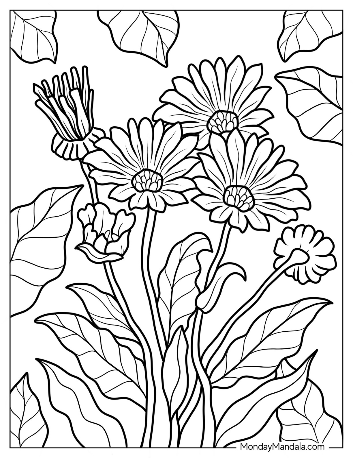 45 Roses Coloring Pages for Adult Free Printable 199