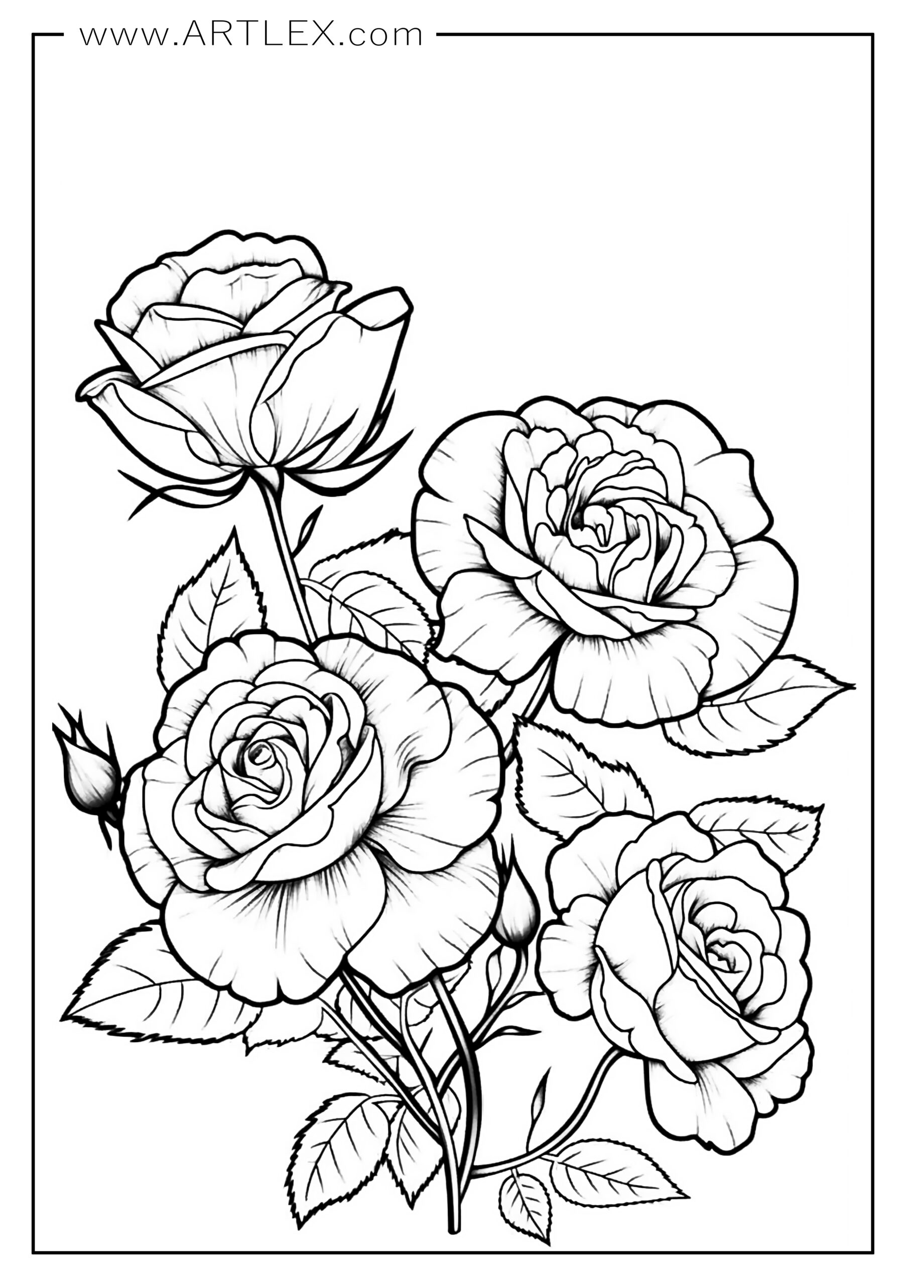 45 Roses Coloring Pages for Adult Free Printable 21