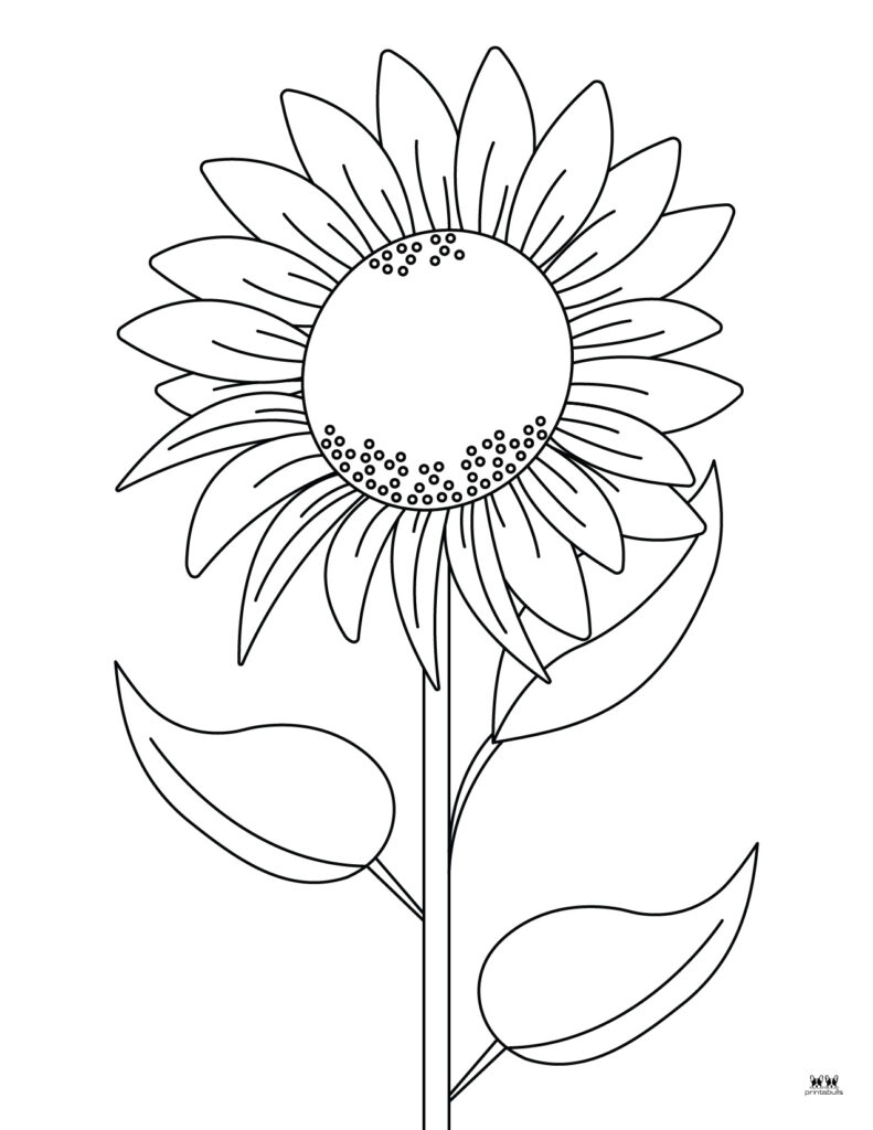 45 Roses Coloring Pages for Adult Free Printable 22